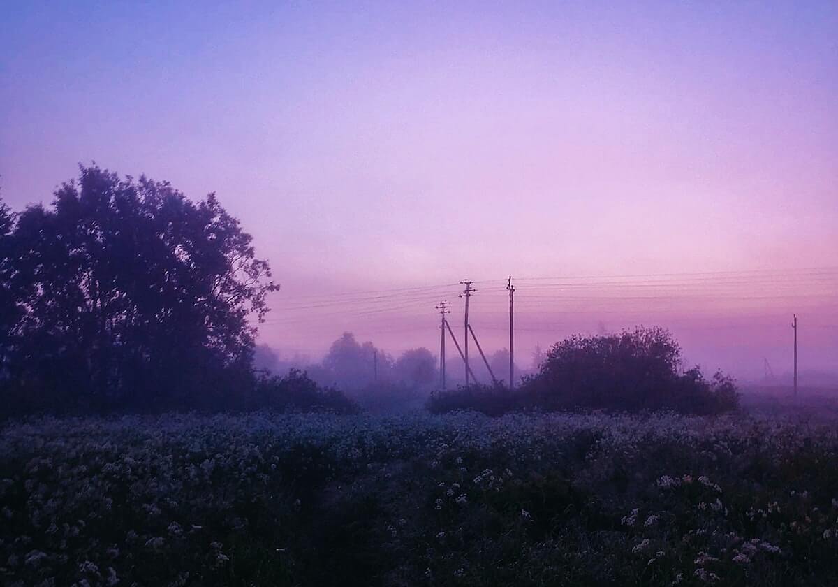 英雄联盟直播-泰山主场45069人见证胜利 本轮观赛人数第一